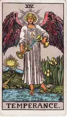 card-6