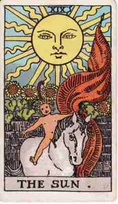card-7